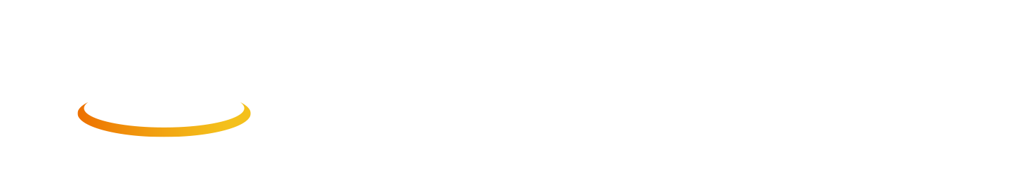 website logo
